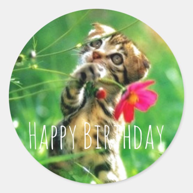 Happy Birthday Kitten Circle Stickers (Front)