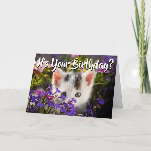 Happy Birthday Kitten Flowers Card (Front)