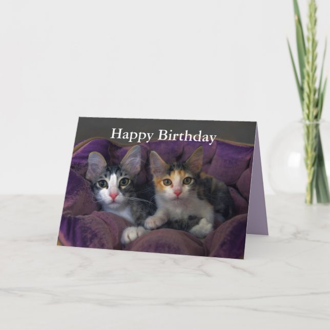 Happy Birthday Kitten Pair in a Purple Bed Card (Front)