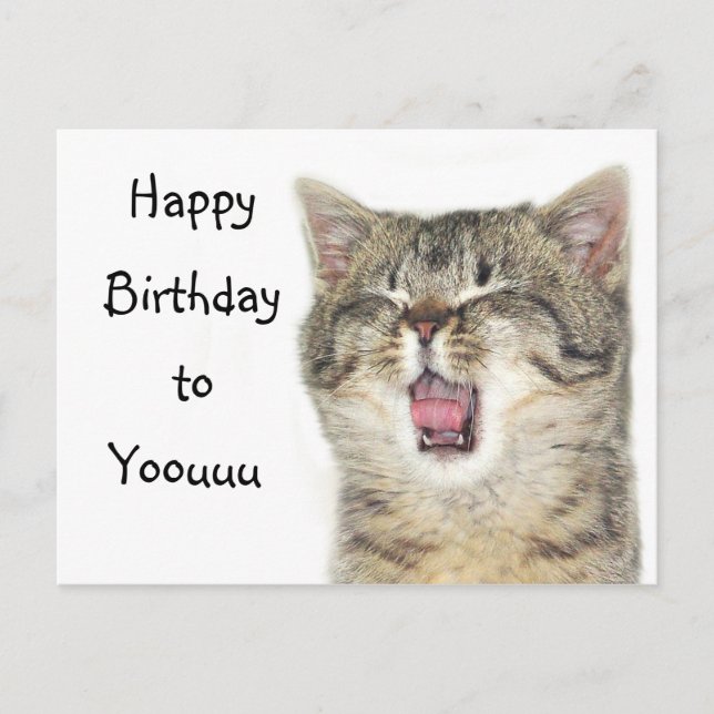 Happy Birthday kitten Postcard (Front)
