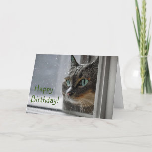 Happy Birthday Kitty Cat Thank You Card
