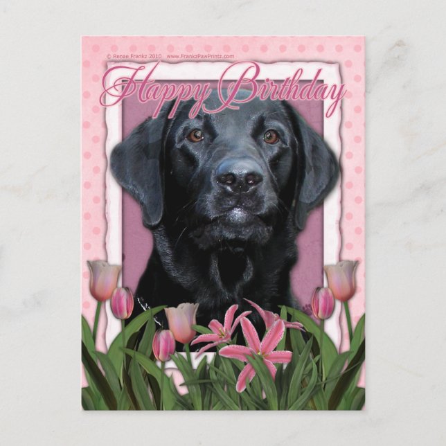 Happy Birthday - Labrador - Black - Gauge Postcard (Front)