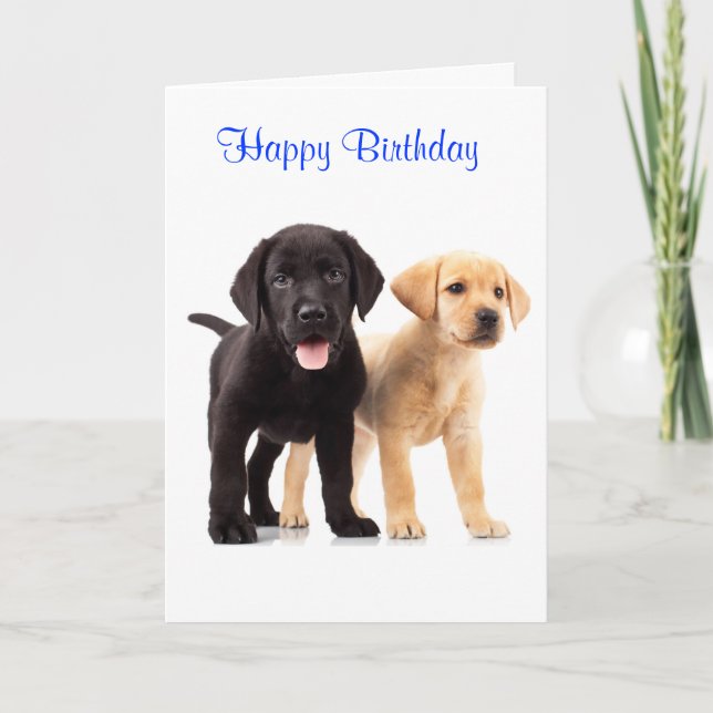 Happy Birthday Labrador Retriever Puppies Card (Front)