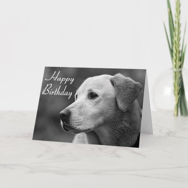 Happy Birthday Labrador Retriever Puppy Card (Front)