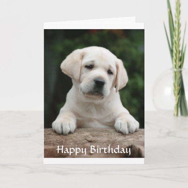 Happy Birthday Labrador Retriever Puppy Card (Front)