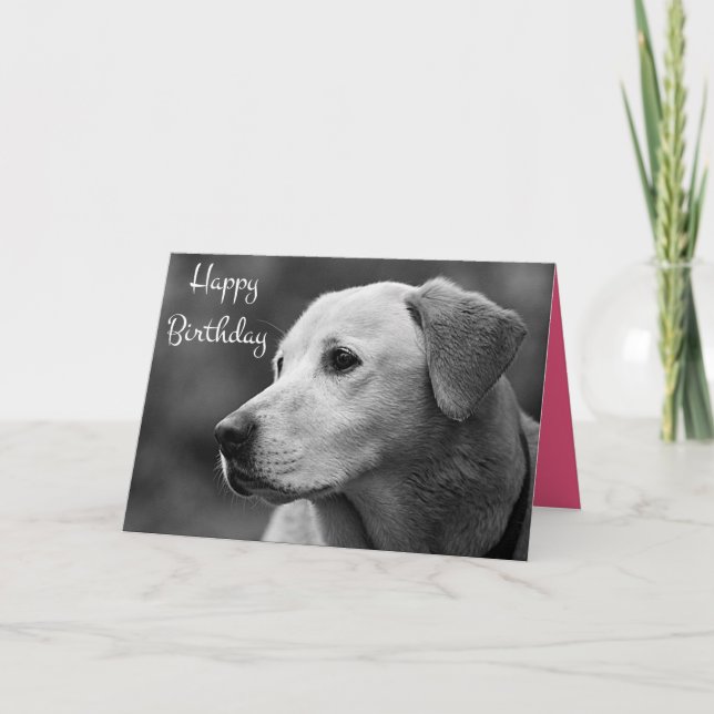 Happy Birthday Labrador Retriever Puppy Card (Front)