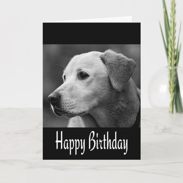 Happy Birthday Labrador Retriever Puppy Dog Black Card (Front)