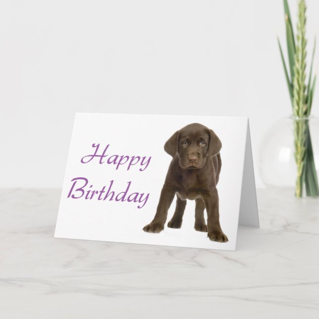 Happy Birthday Labrador Retriever Puppy Dog Card (Front)