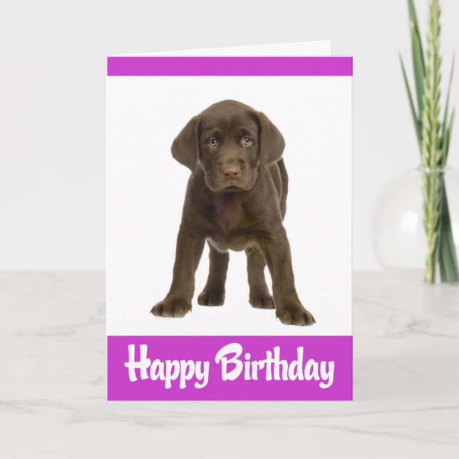 Happy Birthday Labrador Retriever Puppy Dog Card (Front)
