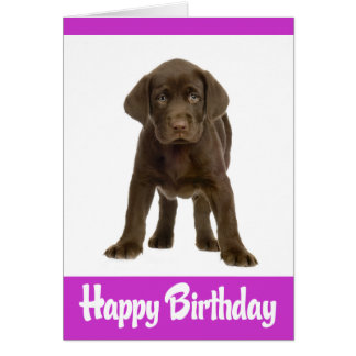 The Happy Labrador Cards, Photocards, Invitations & More