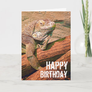 Happy Birthday  - Lazy Lounge Lizard Chillaxing Card