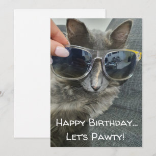 "happy birthday let's pawty" funny cat photo card