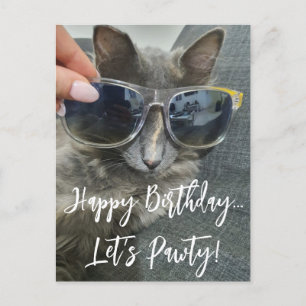 "happy birthday let's pawty" funny kitten photo  postcard
