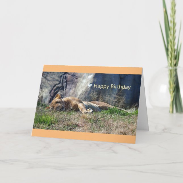Happy Birthday Lioness (Leo) Card (Front)