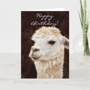 Happy Birthday llama greeting card