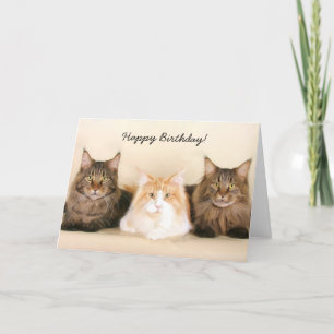 Happy Birthday Maine Coon Cats greeting card