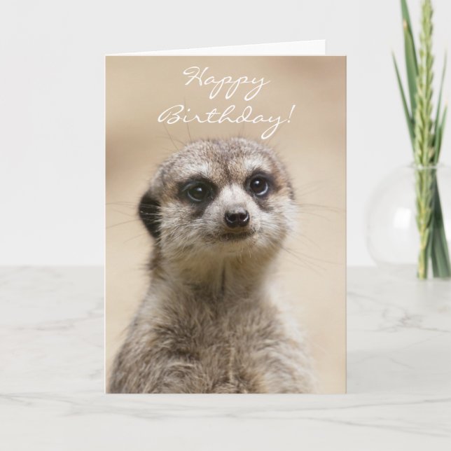 Happy Birthday Meerkat Card (Front)
