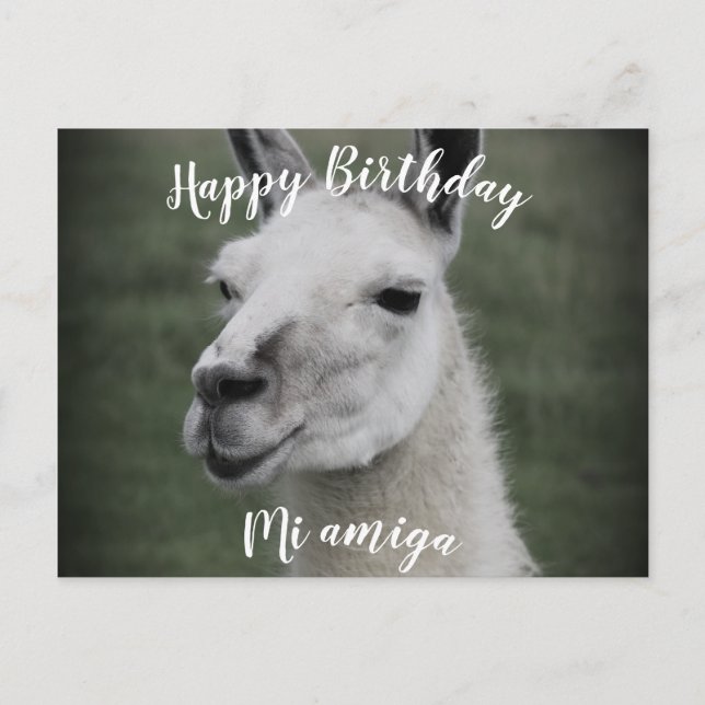 Happy Birthday "Mi Amiga" LLama postcard (Front)