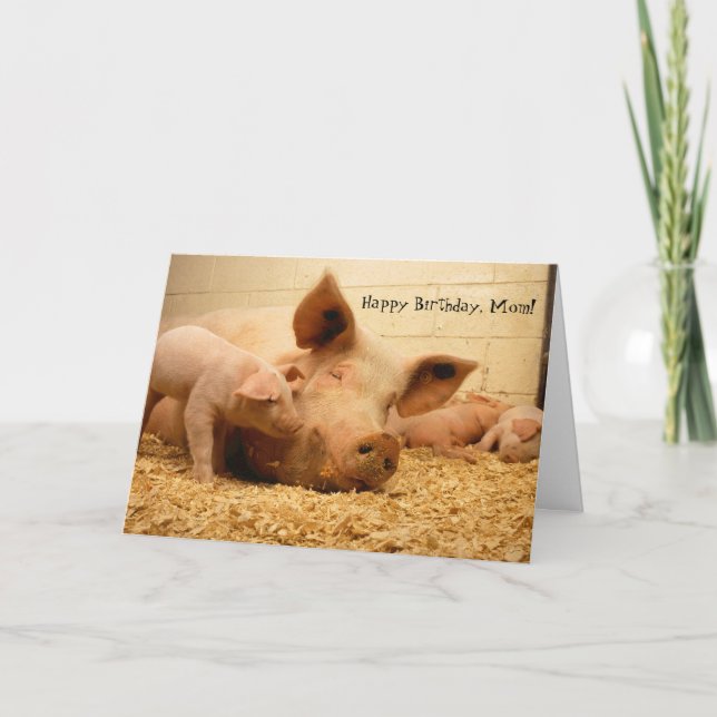 Happy Birthday Mom Mother Pig and Piglets Card (Front)