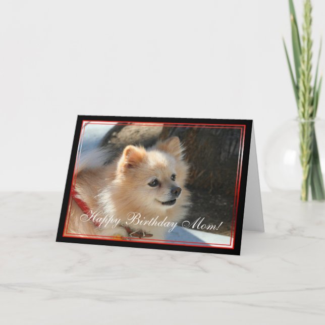 Happy Birthday Mom Pomeranian greeting card (Front)