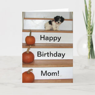 Happy Birthday Mom - puppy and pumkin Havanese Card