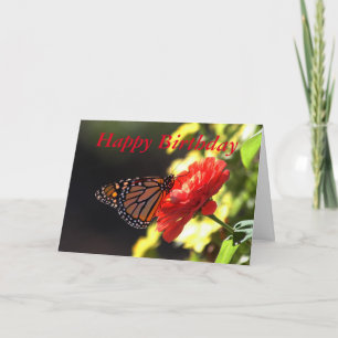 Happy Birthday Monarch Butterfly on Red Zinnia Card