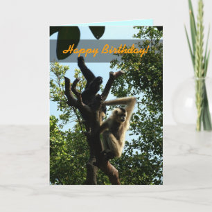 Happy Birthday, monkey on a tree Card