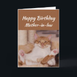 Happy Birthday Mother-in-law Celebrate Funny Cat Card<br><div class="desc">Happy Birthday Mother-in-law  Celebrate it any way you want with a cute relaxing Cat Funny animal birthday greeting to customize</div>