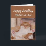 Happy Birthday Mother-in-law Celebrate Funny Cat Card<br><div class="desc">Happy Birthday Mother-in-law  Celebrate it any way you want with a cute relaxing Cat Funny animal birthday greeting to customize</div>