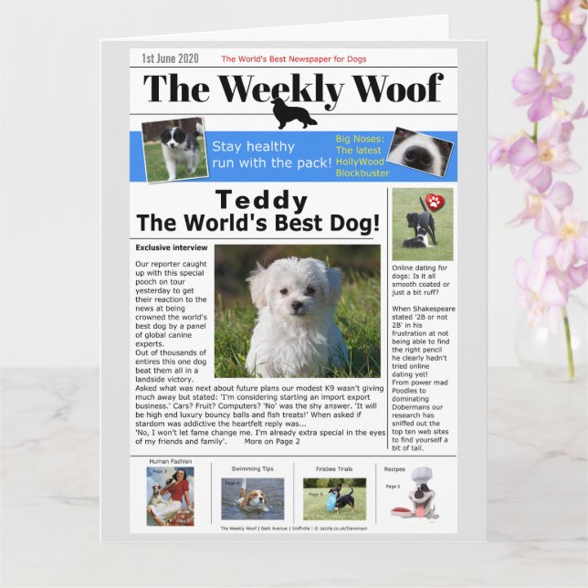 Happy Birthday Novelty Dog News Card (Orchid)