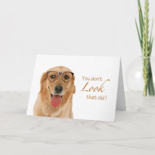 Happy Birthday Old Dog Card
