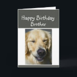 Happy Birthday Older Brother Fun Laughing Dog Card<br><div class="desc">Remember when being older was a good thing Fun Birthday card for that Older Brother</div>