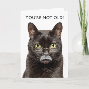 Happy Birthday Older Male Cat in Grey Moustache Holiday Card