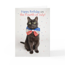Happy Birthday on Fourth of July Cute Cat Humour