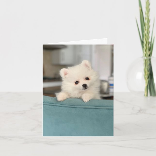 Happy Birthday/  One Adorable Critter to Another Card (Front)