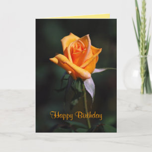 Happy Birthday Orange Rose Card