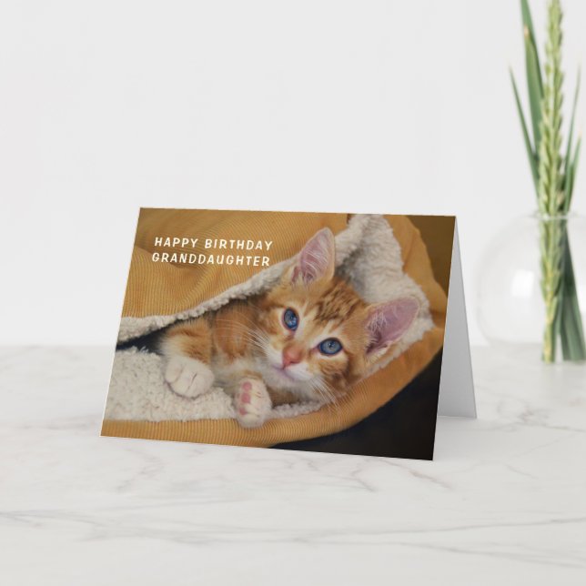 Happy Birthday, Orange Tabby Kitten in Bed Card (Front)
