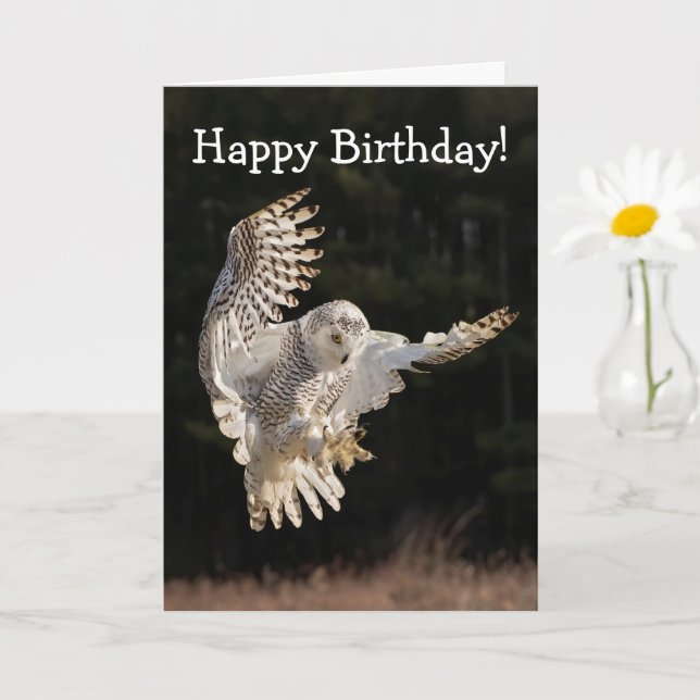Happy Birthday Owl Card (Small Plant)