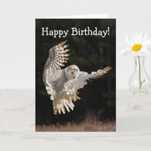 Happy Birthday Owl Card