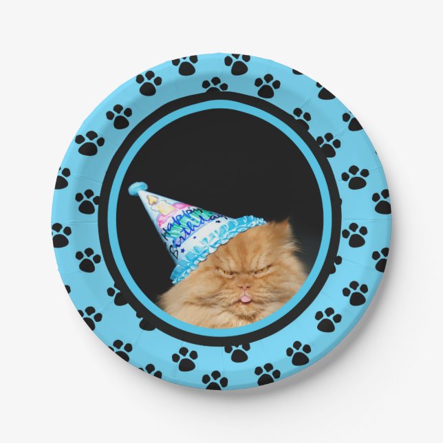 Happy Birthday Paper Plate (Front)