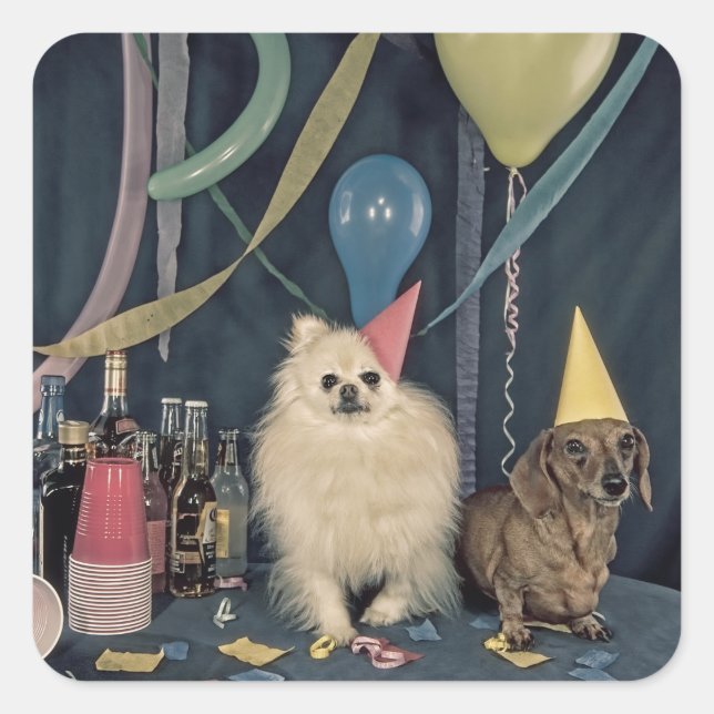 Happy Birthday Party with Dogs and Drinks Square Sticker (Front)