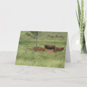 Happy Birthday Peaceful Day Cows in Field Card