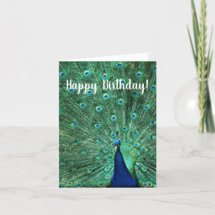 Happy Birthday Peacock Greeting Card