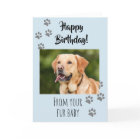 Happy Birthday Photo Dog Cat Pet Fur Baby
