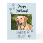 Happy Birthday Photo Dog Cat Pet Fur Baby