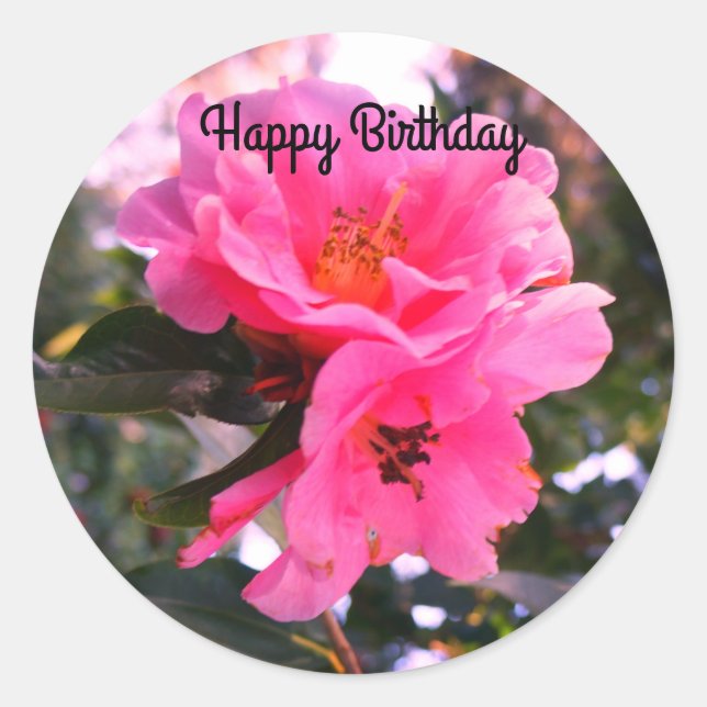  Happy Birthday Pink Camellia #2-2 Stickers (Front)