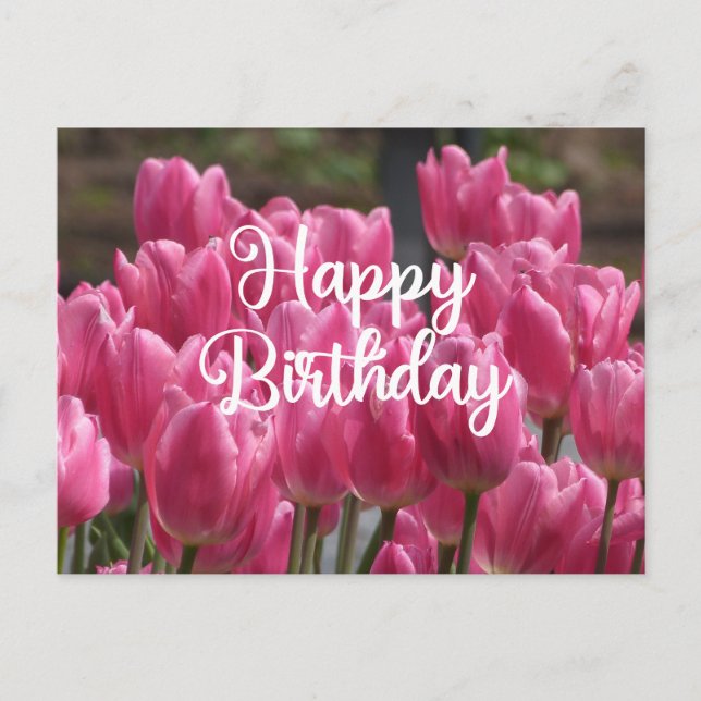 Happy Birthday Pink Tulip Flowers  Postcard (Front)