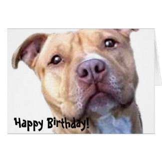 Happy Birthday Pitbull Cards, Photocards, Invitations & More