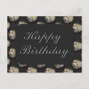 Happy Birthday Postcard