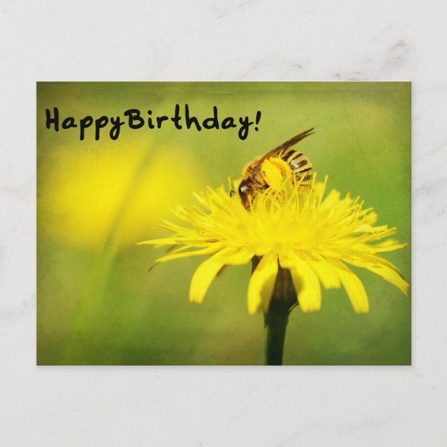 Happy Birthday! Postcard (Front)